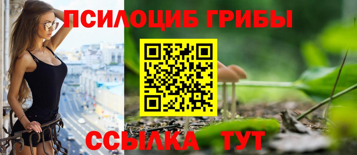купить наркоту  Псилоцибиновые грибы GOLDEN TEACHER  Псилоцибиновые грибы прущие грибы  Вход с VPN  Саров 